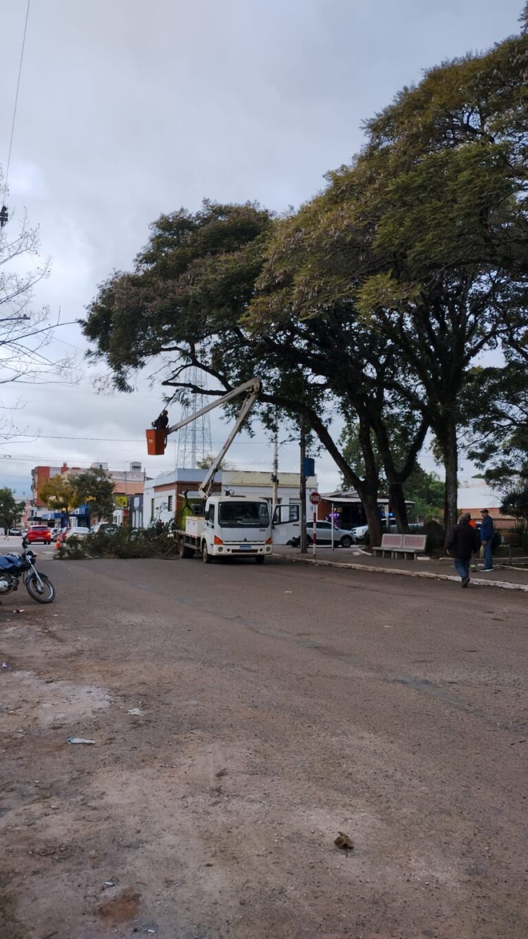 Prefeitura realiza manutenção nas árvores da Praça das Mercês