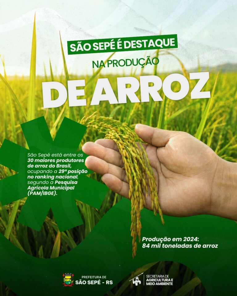 São Sepé está entre os 30 maiores produtores de arroz do Brasil