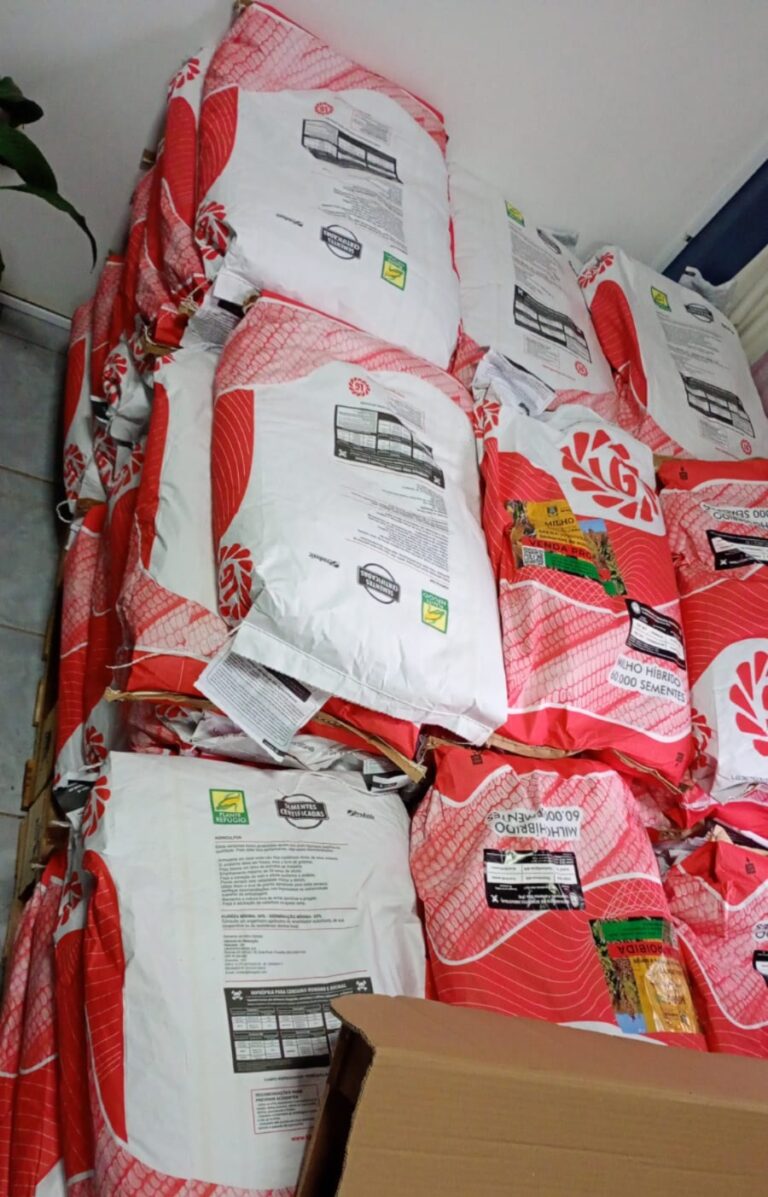 São Sepé recebe sementes do Programa Milho 100% para beneficiar 65 produtores