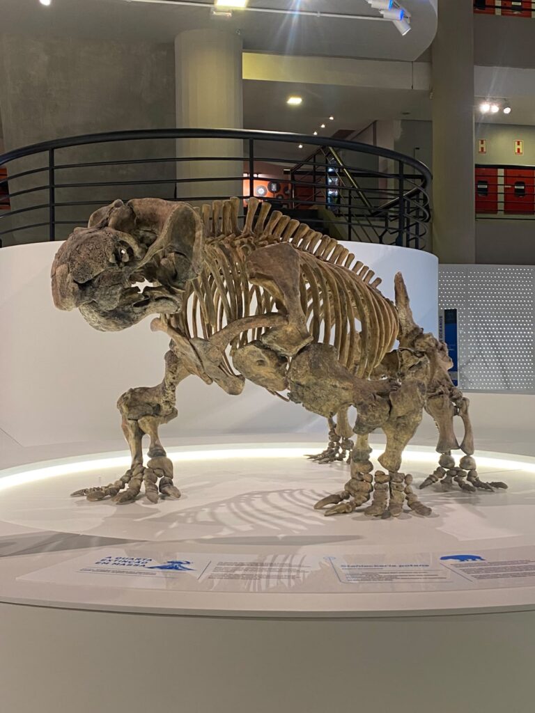 Crianças da Casa de Passagem visitam Museu da PUC/RS
